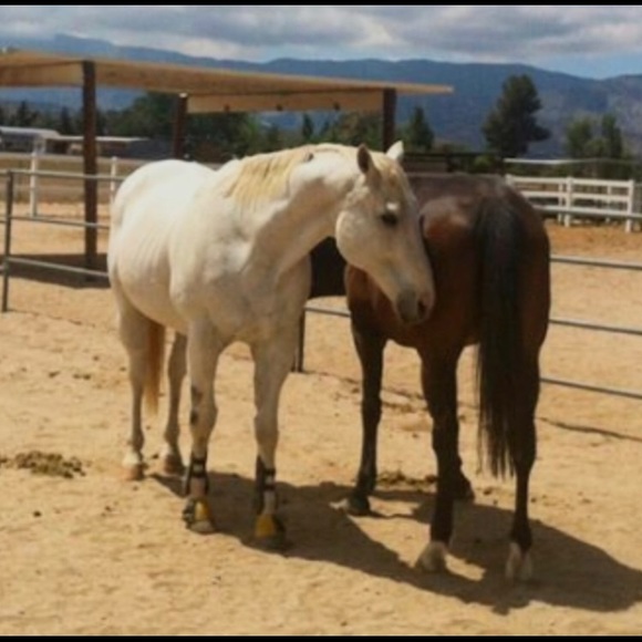 Meet your Posher, Kelly - Picture 13 of 16